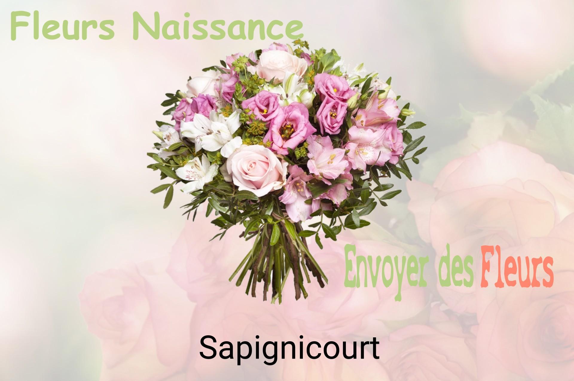 Bouquet de fleurs de naissance livré à Sapignicourt